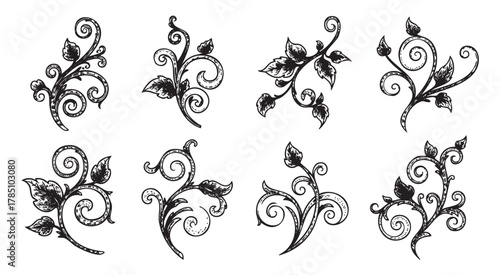 Black and white artistic floral designs featuring intricate swirling patterns and leaves, showcasing diverse ornate botanical elements.