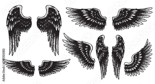 Black and white line art of various bird wings, showcasing detailed feather patterns in multiple poses. each pair of wings is uniquely styled and positioned.