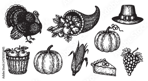 Black outline vector illustrations of thanksgiving symbols including a turkey, cornucopia, corn, pumpkins, apple basket, pie slice, grapes, and pilgrim hat.