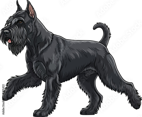 Giant Schnauzer dog walking trotting pose vector illustration