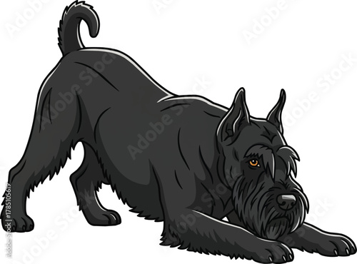 Giant Schnauzer dog stretching play bow vector illustration