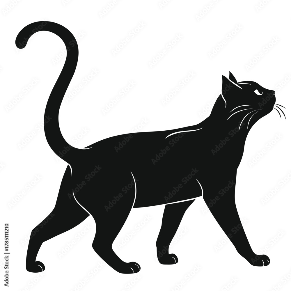Obraz premium Black cat feline vector illustration design domestic animals shadow pet design