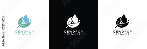 Three logo variations for Dewdrop Creative featuring a leaf and droplet motif in black, white, and teal colors.