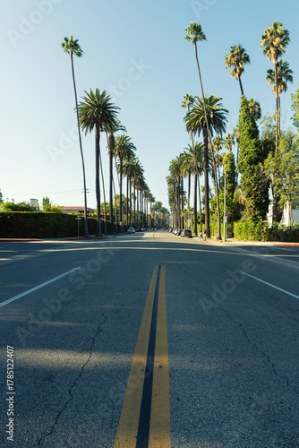 Famous palm tree street in Beverly Hills, Los Angeles, California