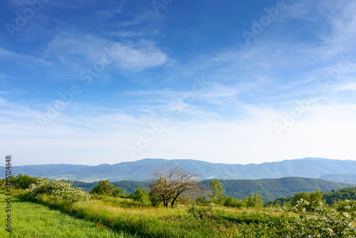 field in the mountain landscape in summer. beautiful view of green carpathian alps under blue sky at sunset. picturesque countryside scenery with rolling hills and meadows