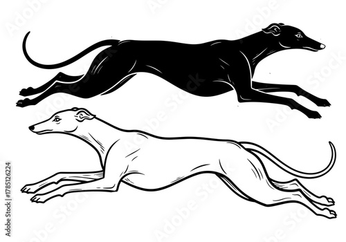 Two greyhounds running, one in black silhouette and one in outline