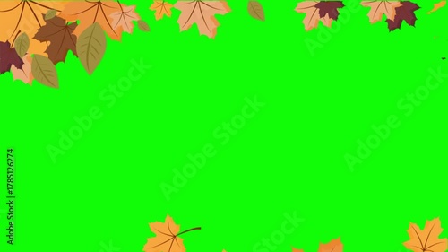 Animated maple leaves falling on a vibrant green screen create a seasonal autumn background for video editing and motion graphics projects