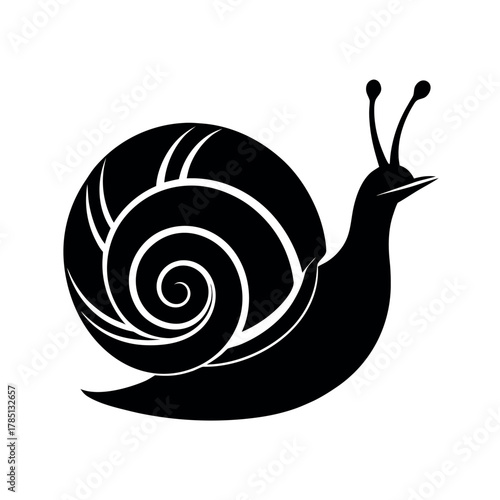 Snail Shell Silhouette Vector Design