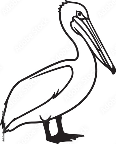Outline drawing of a pelican with large beak standing on white background bird illustration on transparent background