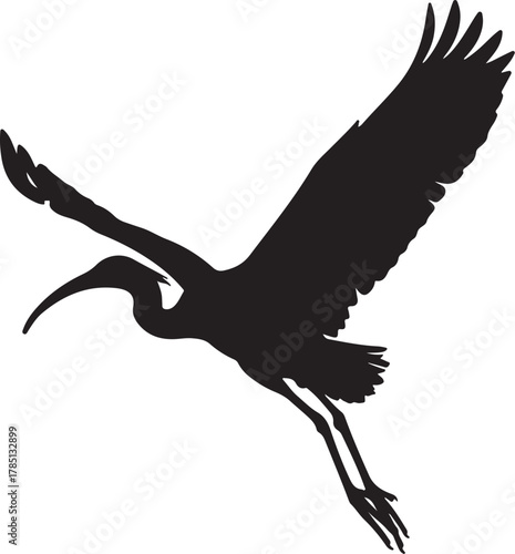 Silhouette of a bird with long beak and wings spread in flight on white background flying on transparent background