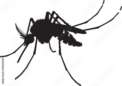 Black Silhouette of a Mosquito Insect on White Background vector illustration on transparent background