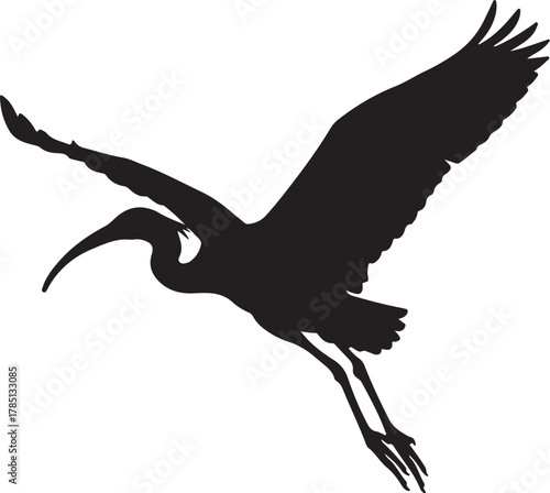 Black silhouette of a bird with long beak and wings outstretched in flight on a white background Keywords: bird, flying bird, silhouette, black, ibis, wading bird, long on transparent background