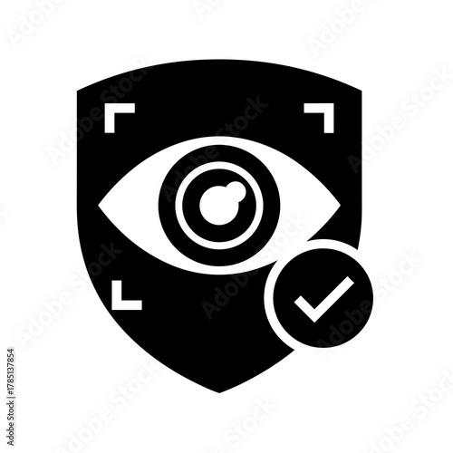 Eye on a shield with corner brackets and a check mark in a circle security verification concept icon
