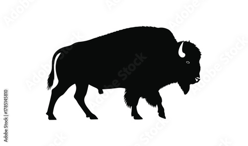Black silhouette of a majestic american bison standing on a white background