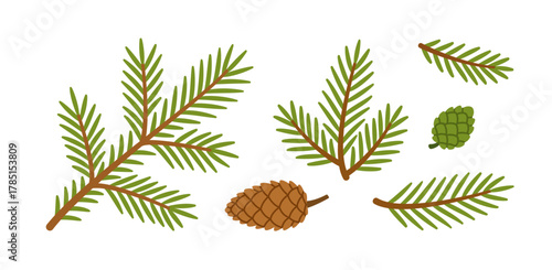 Set of spruce branches and pine cones. Hand drawn trendy flat style isolated. Perfect for Christmas design, winter decor, greeting cards, invitations, and festive illustrations. Vector illustration
