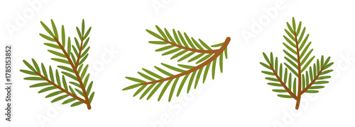 Set of spruce branches. Hand drawn trendy flat style isolated. Ideal for Christmas design, winter compositions, holiday cards, stickers, decorations, and seasonal illustrations. Vector illustration