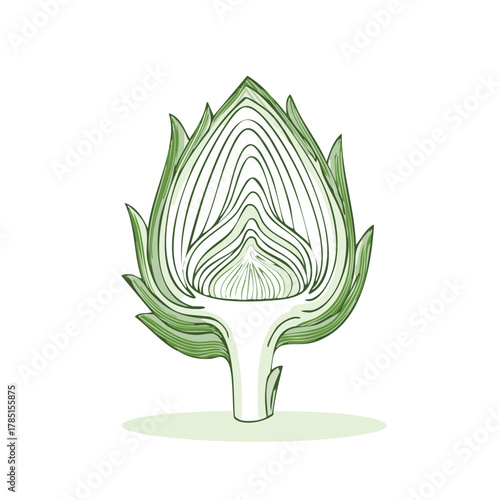 Sliced Artichoke Fresh Green Isolated Illustration Healthy Food Ingredient Botanical Herb Vegetables Drawing Half Artichoke Vector