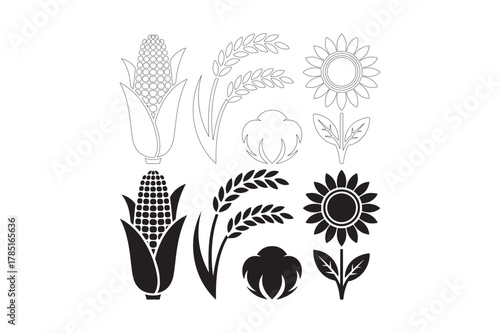 Agriculture crops collection: corn, wheat, cotton, sunflower vector icons set