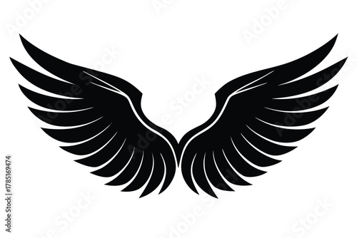 wings vector icon silhouette