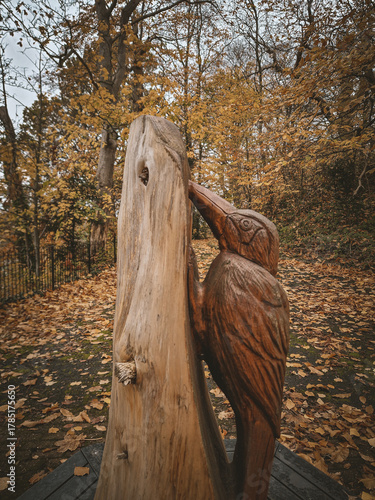 Moody Late Autumn: Fallen Leaves, Water Reflections, and Woodland Woodpecker Sculpture, Stapenhill, UK