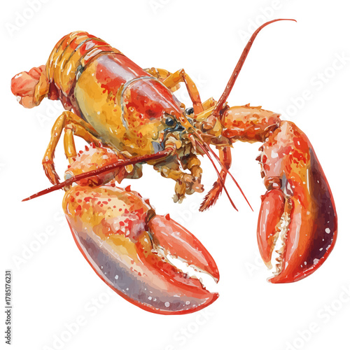Watercolor vector illustration of Lobster, isolated on white background.