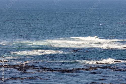 Ocean surface with waves and floating kelp near the shoreline in oregon