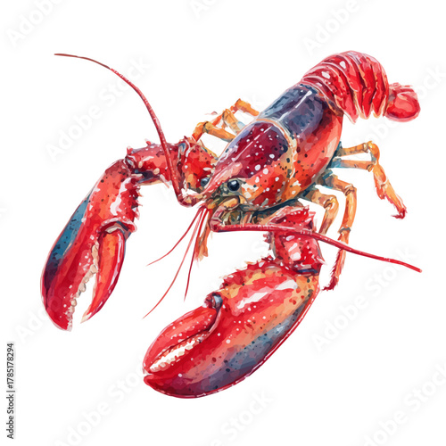 Lobster, watercolor painting, vector illustration, isolated on a white background.