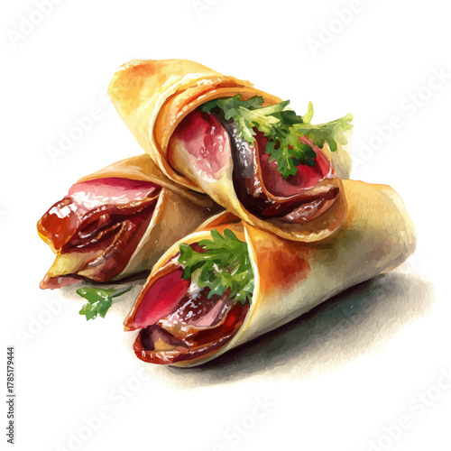 Peking Duck Rolls, watercolor painting, vector illustration, isolated on a white background.