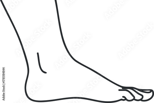 Minimalist outline vector illustration of a human foot and ankle for health, wellness, and anatomical design projects