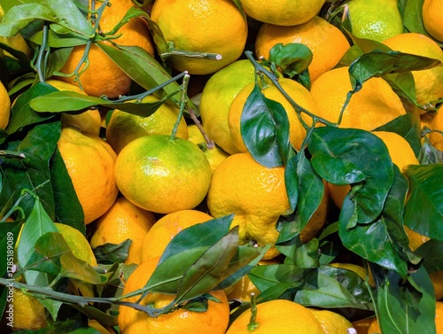 Tangerines with leaves