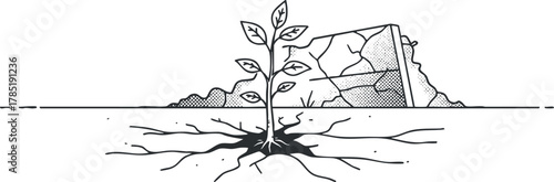 Minimalist black and white vector illustration of a sprouting plant with roots, symbolizing growth and sustainability in nature.