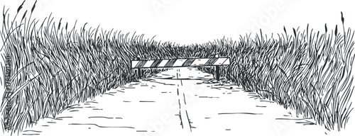 Hand-drawn vector illustration of a rural road blocked by a barrier, surrounded by tall grasses for nature-themed designs