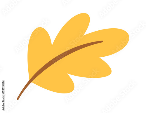 Oak tree yellow fallen leaf