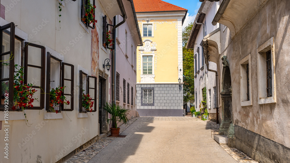 Fototapeta premium Picturesque alleys with old buildings and beautiful facades in the town of Radovljica, Slovenia.