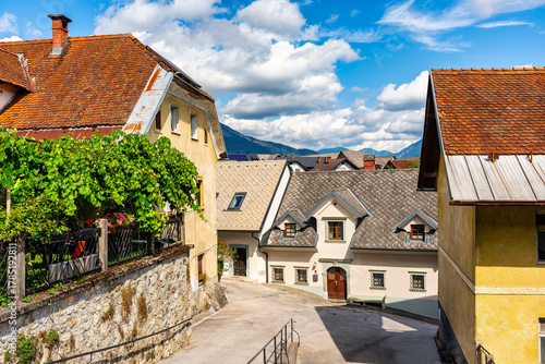 Fototapeta Naklejka Na Ścianę i Meble -  View of the mountains and small villages surrounding the historic town of Radovljica, Slovenia.