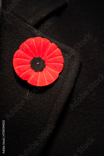 Coquelicot sur manteau, 11 novembre, rouge et noir, vertical