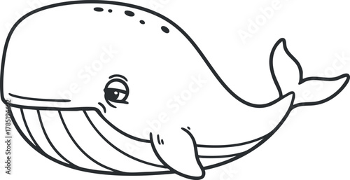 Playful outline vector illustration of a friendly whale, ideal for educational materials and children's designs