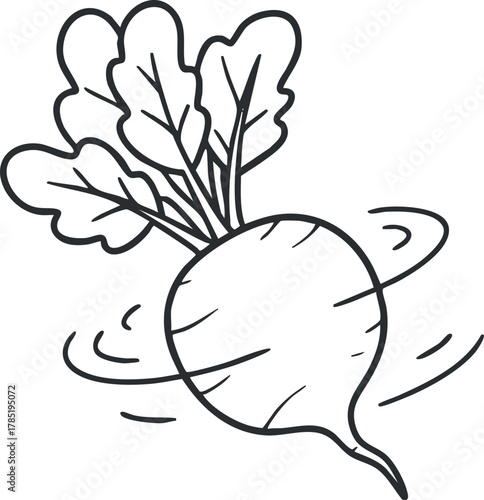 Hand-drawn outline illustration of a radish with leafy greens, perfect for organic food branding and gardening projects