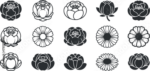Stylized floral vector icon collection featuring various flower designs, perfect for decorative projects and branding.