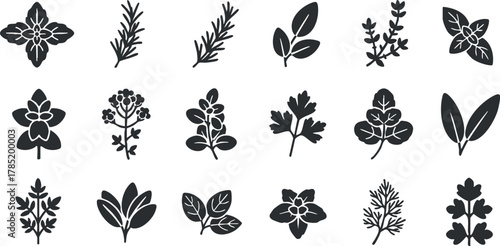 Silhouette vector icon set featuring various herbs and leaves for botanical design, gardening, and culinary projects
