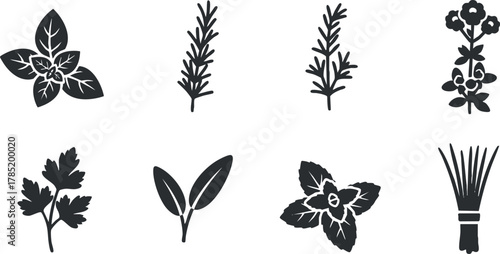 Silhouette vector illustration set of various herbs and leaves ideal for gardening, cooking, or decorative designs