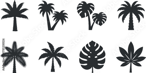 Set of minimalist vector silhouettes featuring various tropical palm and leaf designs for nature-themed projects