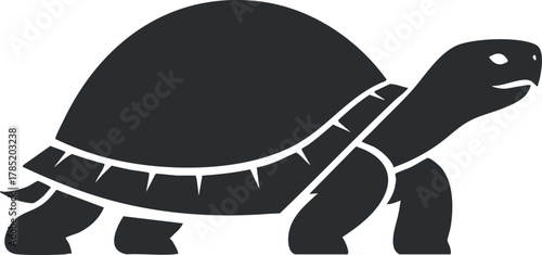Minimalist black and white vector illustration of a turtle, suitable for nature-themed branding and design projects