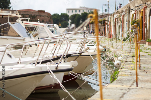 Boats in a row on the pier