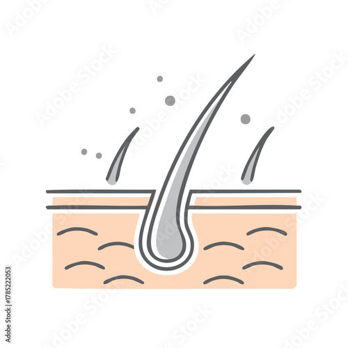 Illustration of a hair follicle and skin cells
