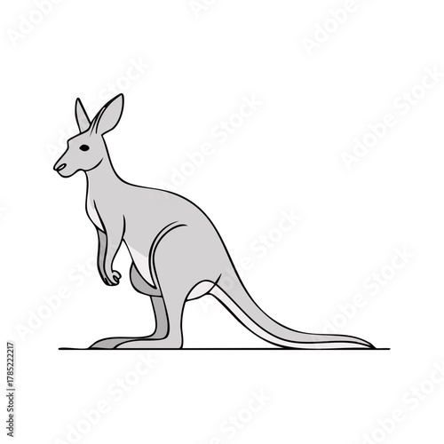 Cartoon kangaroo vector illustration, Australian marsupial outline, isolated on white.