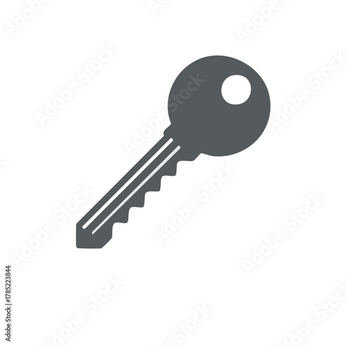 Silhouette illustration of a gray key isolated on white background.