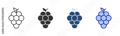 Grape Icon Set. Designed In Multi Style