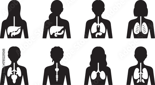 Collection of black and white human body silhouettes with internal organs visible human anatomy vector illustration