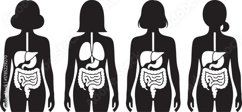 Collection of black and white vector silhouettes of women showing internal organs liver stomach intestines and lungs